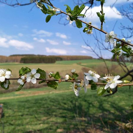Ferienhaus Sinneswandel Sehmatal Bagian luar foto
