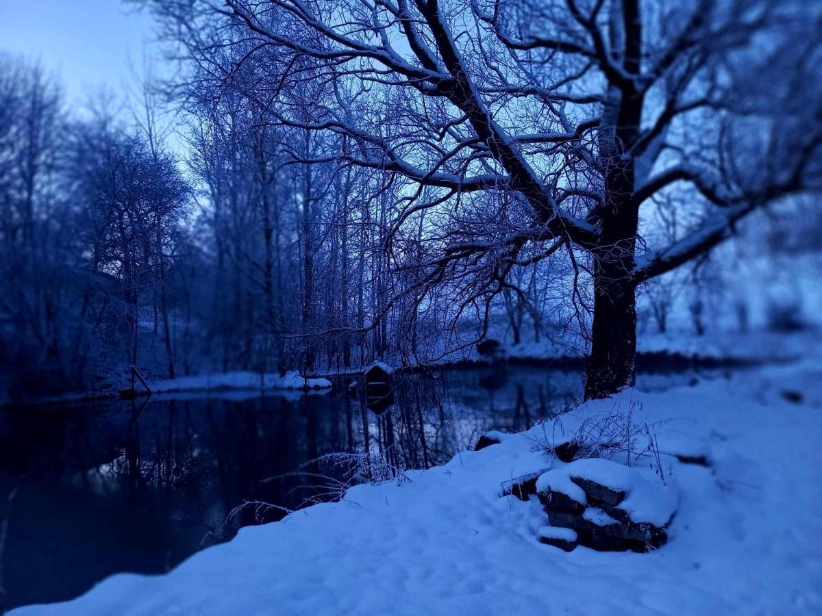 Ferienhaus Sinneswandel Sehmatal Bagian luar foto